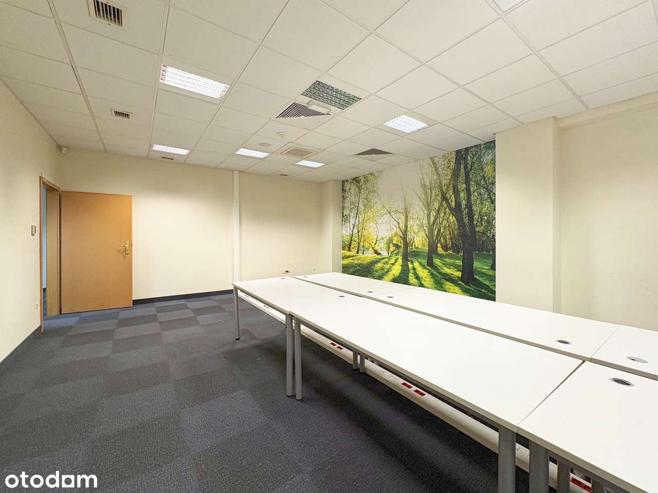 Bez prowizji! Biuro 277 m² przy autostradzie A4 | Katowice-7