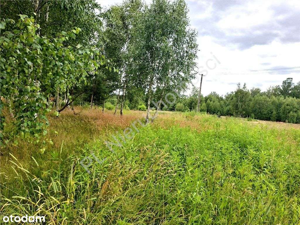 Duża działka w dobrej cenie !-2