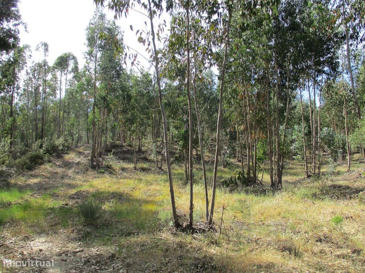 Terreno - Grande imagem: 3/5