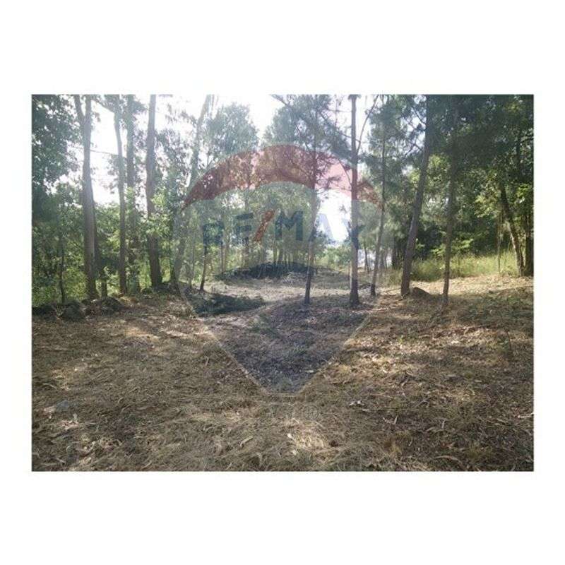 Terreno  para venda - Grande imagem: 5/7