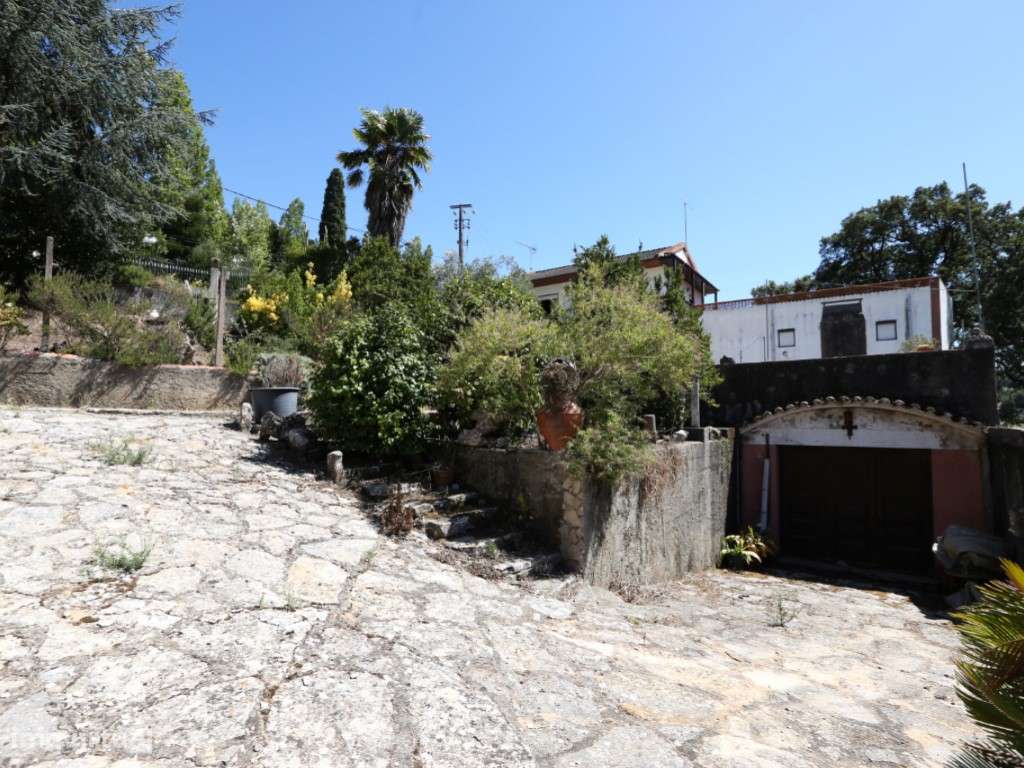 Oportunidade Prime no Centro de Alcobaça Terreno de 2.225 m² com Po...-21