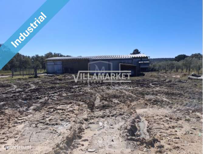 Armazém com 878m2 inserido num terreno com 11.310 m2 situado próximo d - Grande imagem: 5/10