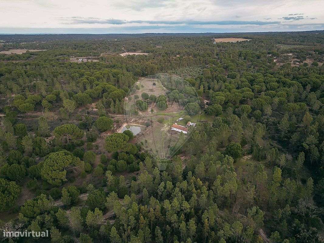 Quinta  para venda - Grande imagem: 2/17