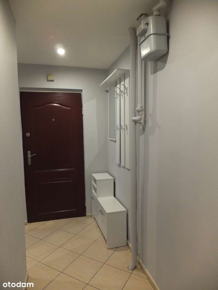 Pogoń, 2 niezależne  pokoje, obok uczelni-6