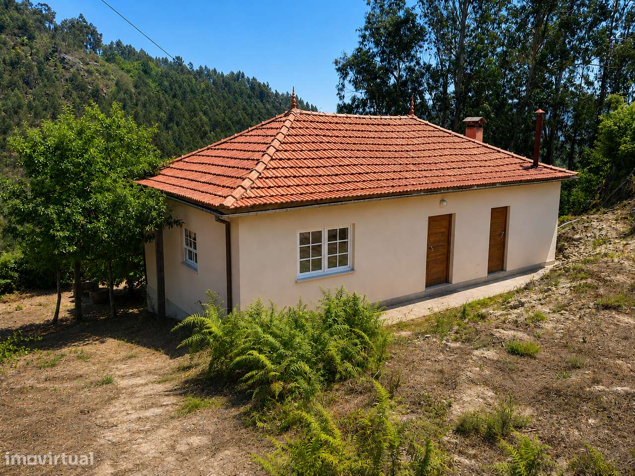 Quinta c/ moradia p/ restaurar – São Pedro do Sul-19