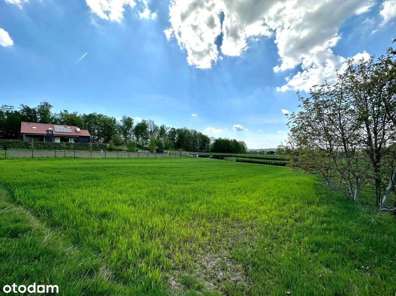 Działka pod lasem | doprowadzony wodociąg-4