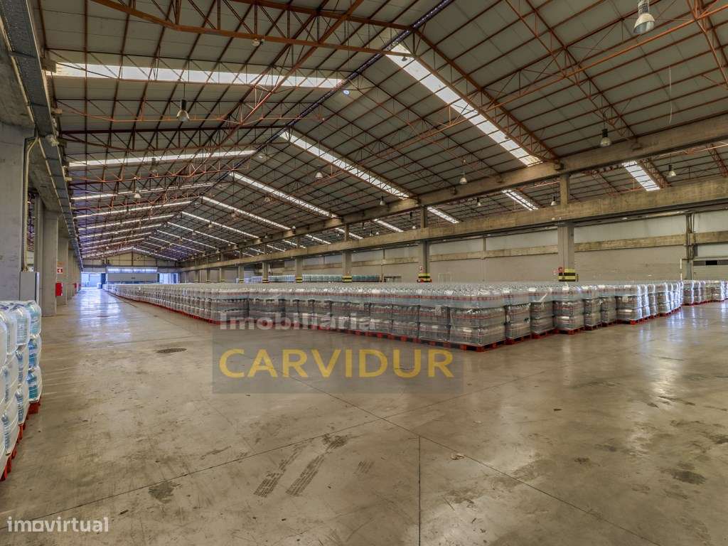 Armazém Industrial 10.000m2 nave única, pé direito 8m. - Grande imagem: 4/41