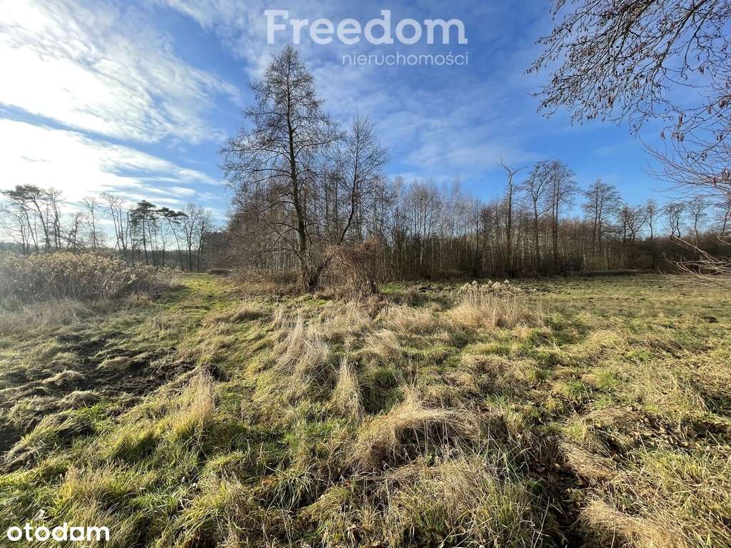 Działka przy lesie-3531m2 - Różankowo Świerczyny - Pełny obrazek: 5/6