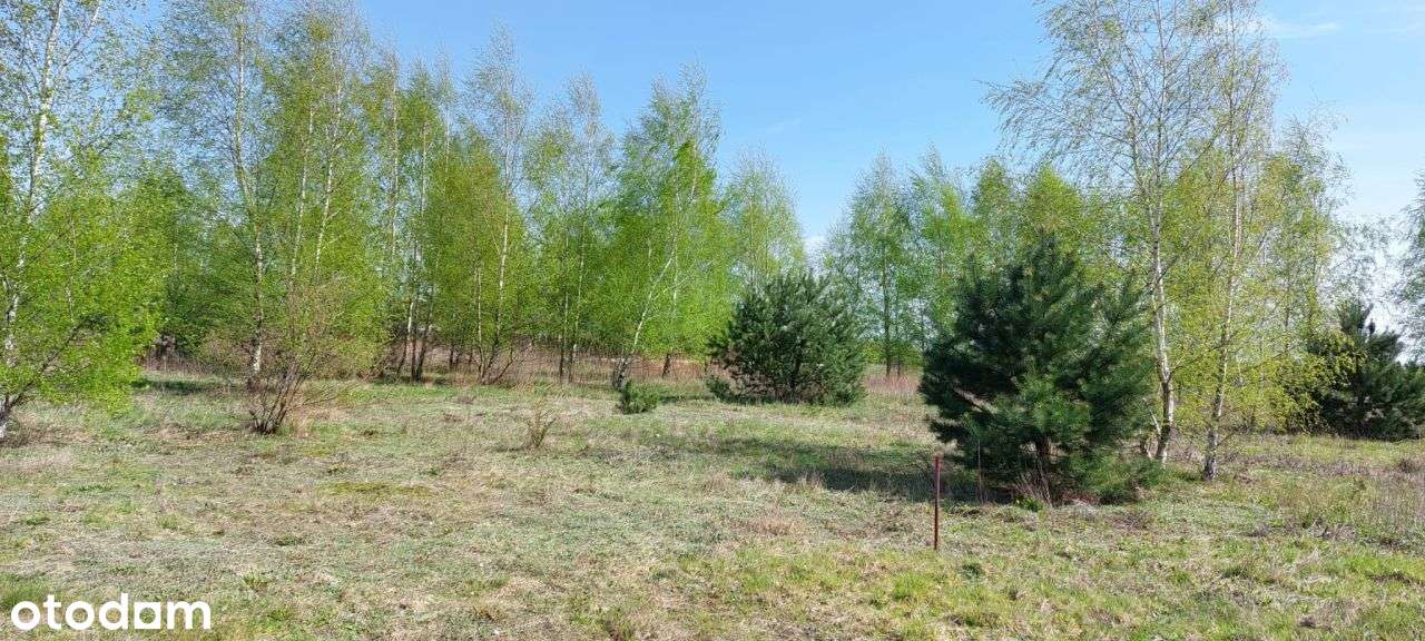 Uzbrojona działka budowlana niedaleko Prażmowa - Pełny obrazek: 2/10