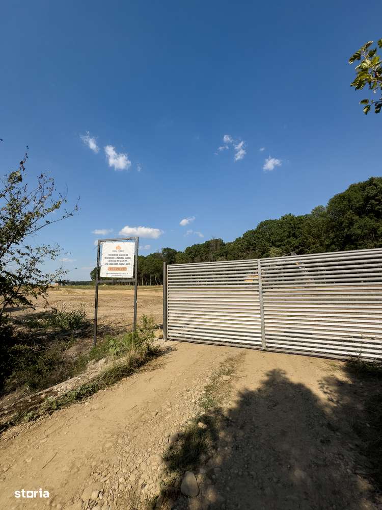 Lot de teren la pret promotional- cu deschidere la padurea Snagov! - Imagine principală: 2/7