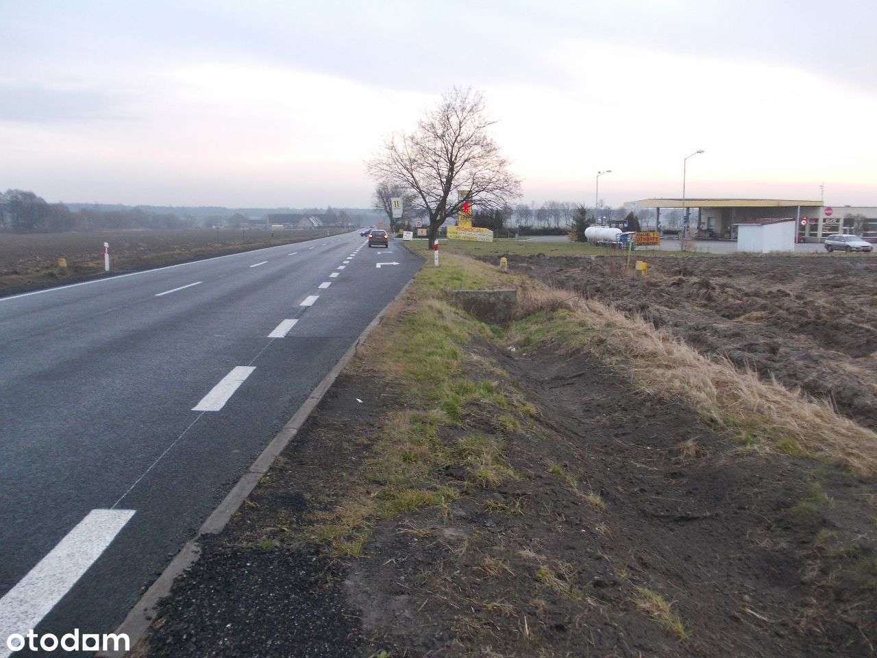 DZIAŁKA Komercyjna 9000m2 W TOSZKU, PRZY DK 94 - Pełny obrazek: 4/8