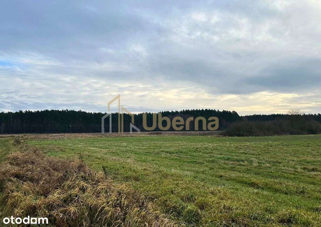 Działka rolna Gm.Goleniów na sprzedaż-2