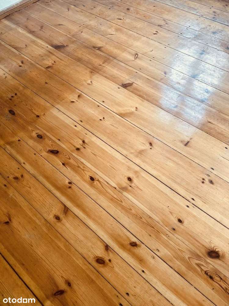 Stylowe, duże mieszkanie|Kamienica po rewitalizacji|Jeżyce|Bałtyk-5