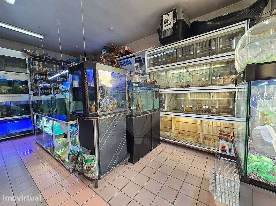 Trespasse  para venda - Grande imagem: 4/15