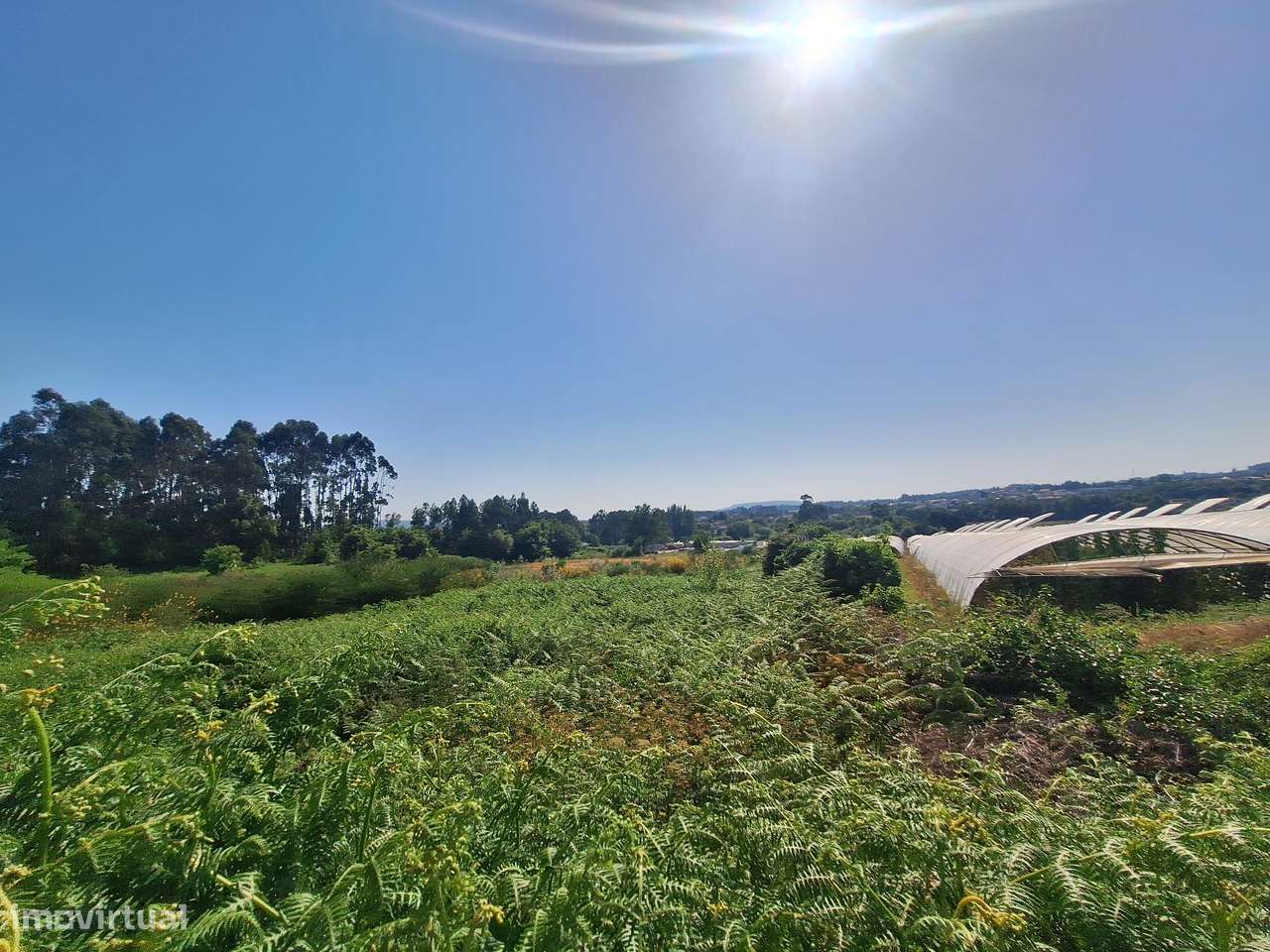 Terreno em Mujães, Viana do Castelo - Grande imagem: 5/6