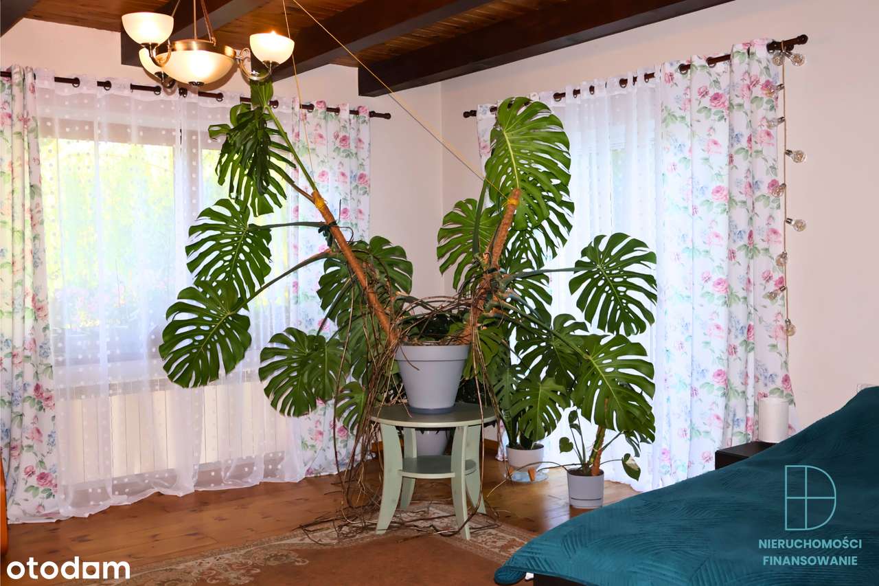 Dom z potencjałem dla dwóch rodzin-9