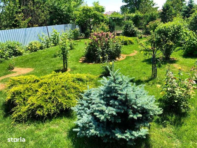 Vand casa Cordun P+1+M 330mp / 1710 mp - Imagine principală: 4/7