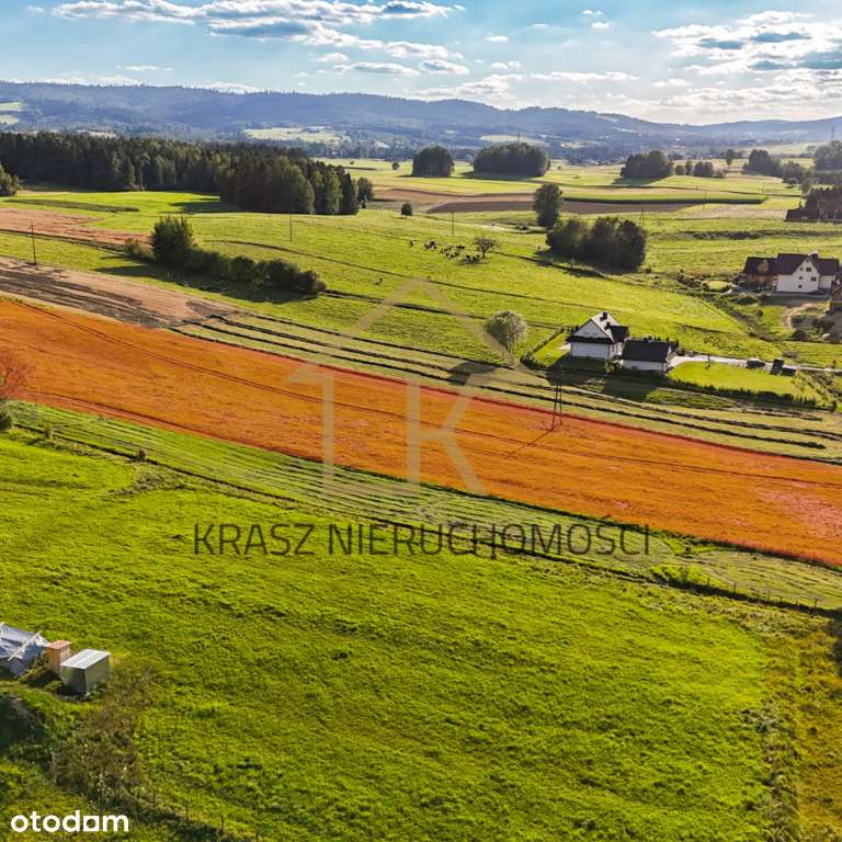 Działka widokowa 78 ar (27 ar budowlanych) -Skawa-2