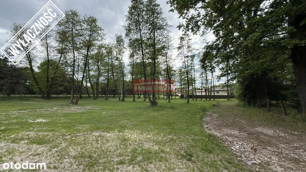piękna działka dla inwestora - Pełny obrazek: 4/7