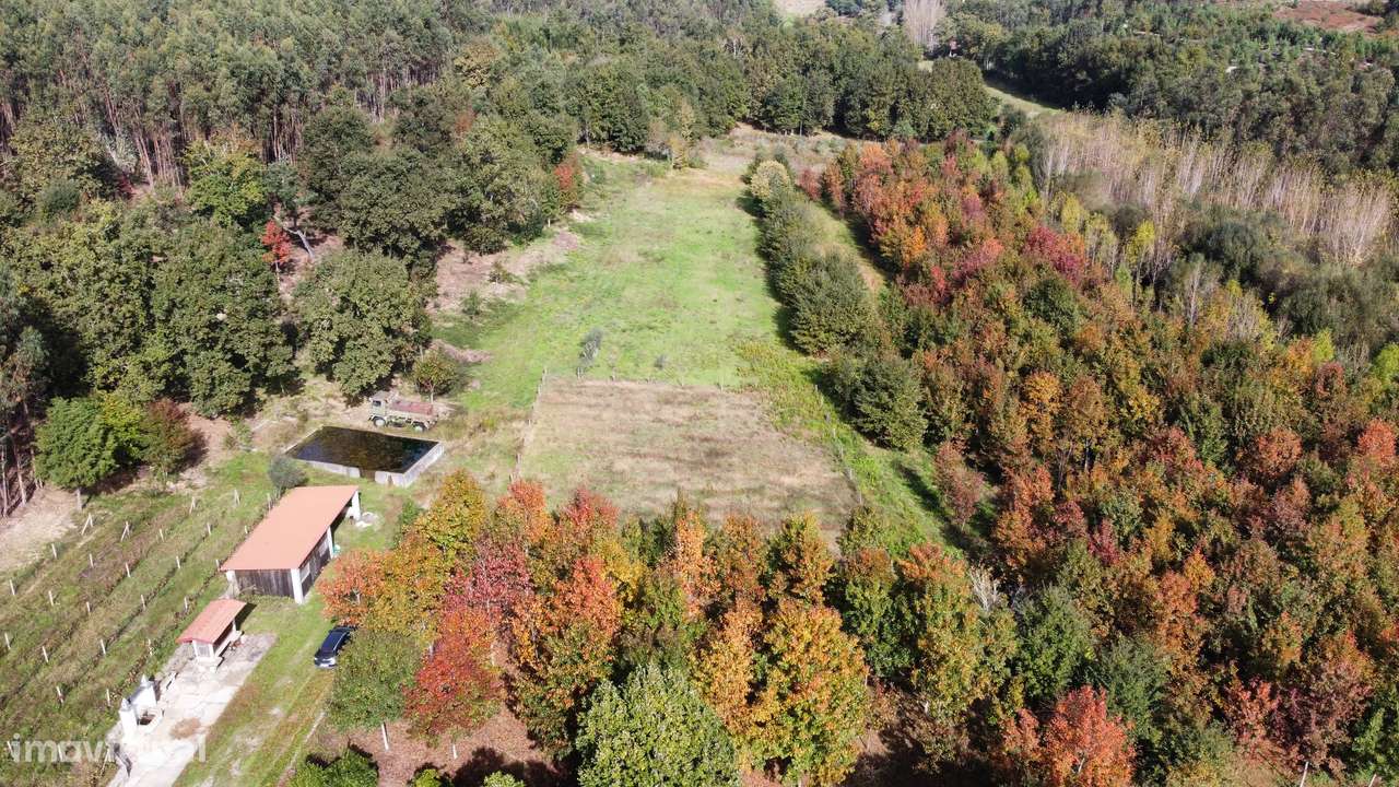 Moradia, 140 m², Molelos-59