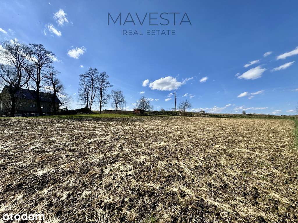 Atrakcyjna działka budowlana | 10a | m. Głęboka-4