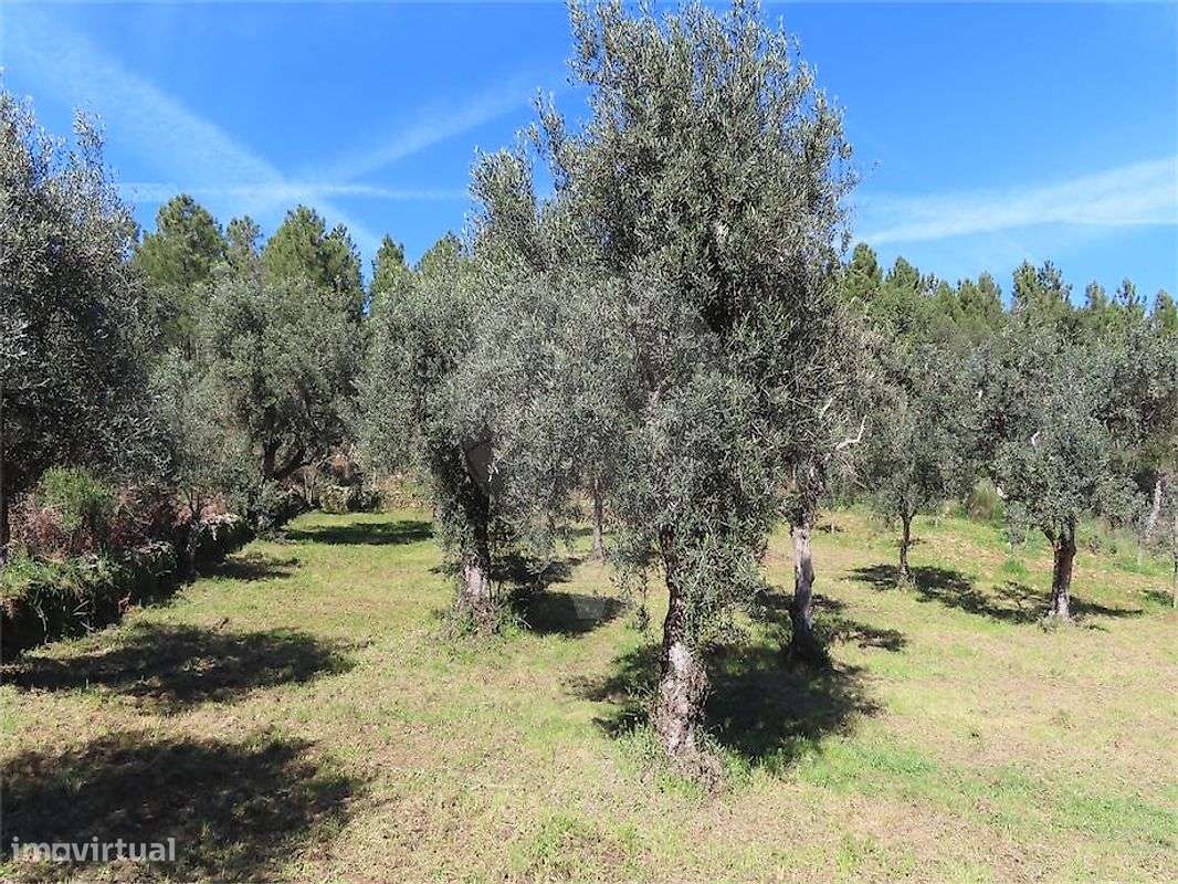 Terreno  para venda - Grande imagem: 4/28