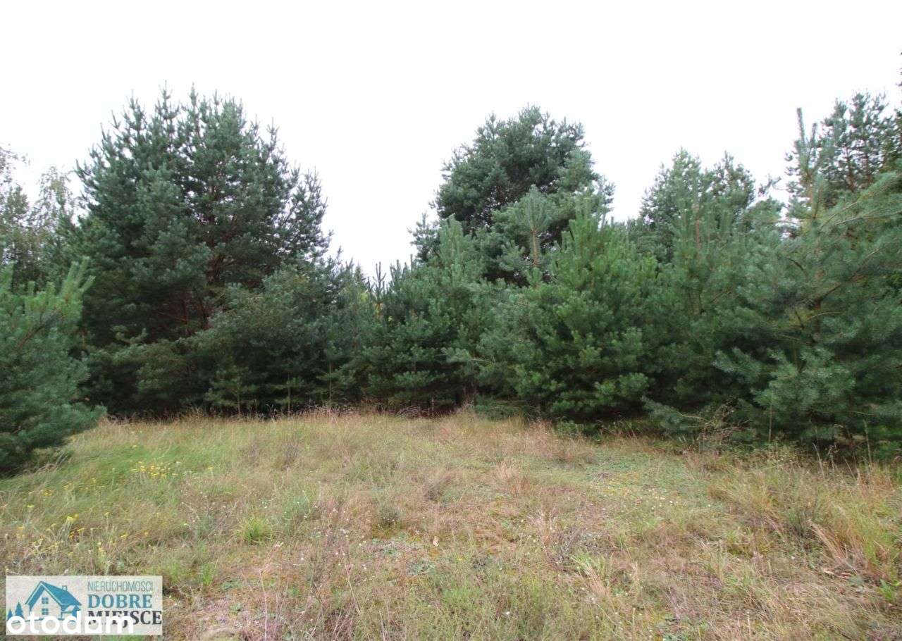 Unikat! Atrakcyjna cena, 500m od jeziora! - Pełny obrazek: 5/5