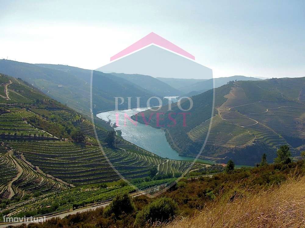 Quintinha  Venda em Valença do Douro,Tabuaço - Grande imagem: 2/11