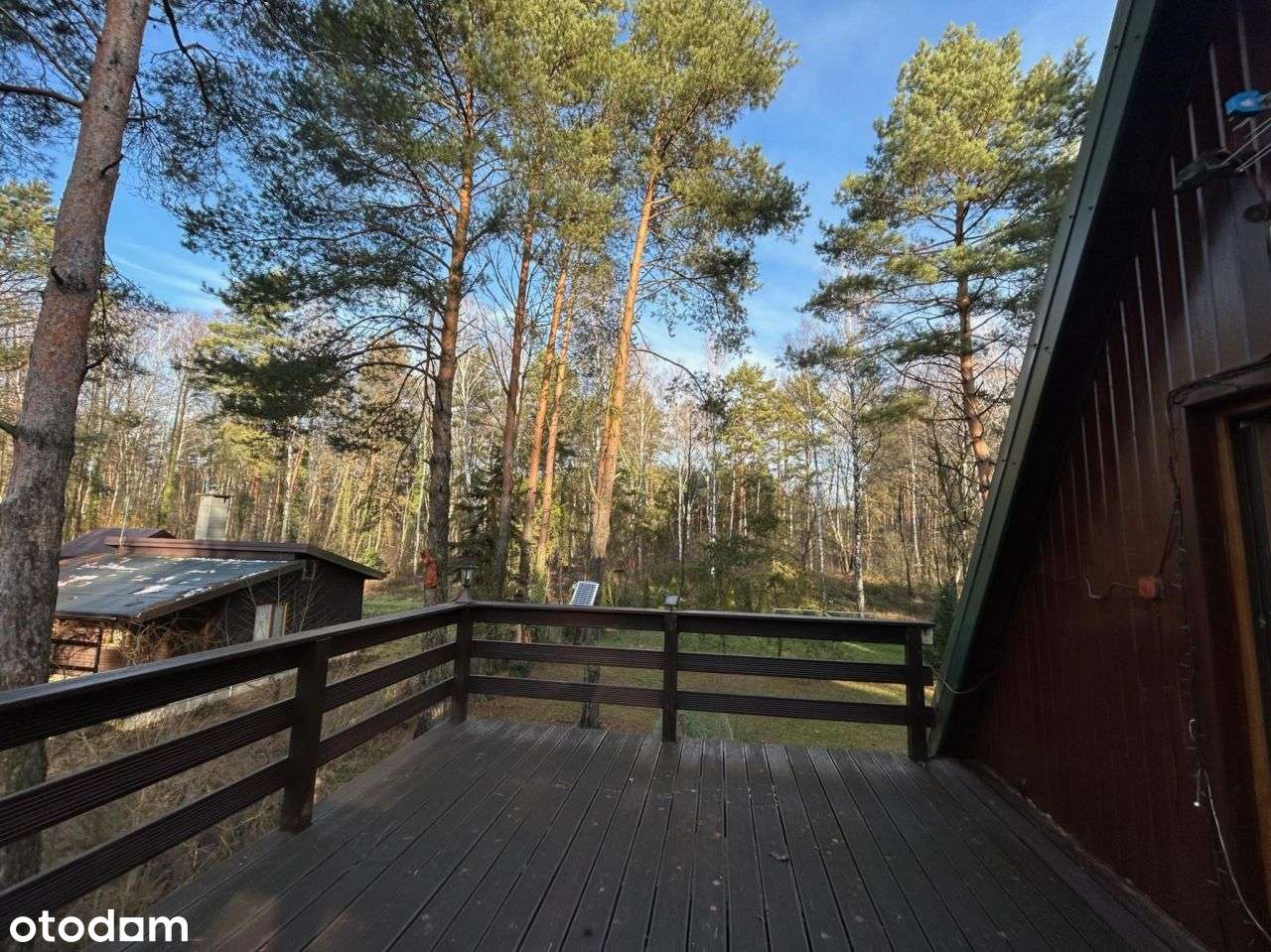 Dom w lesie nad rzeką Świder- 30 min. do centrum W - Pełny obrazek: 4/7