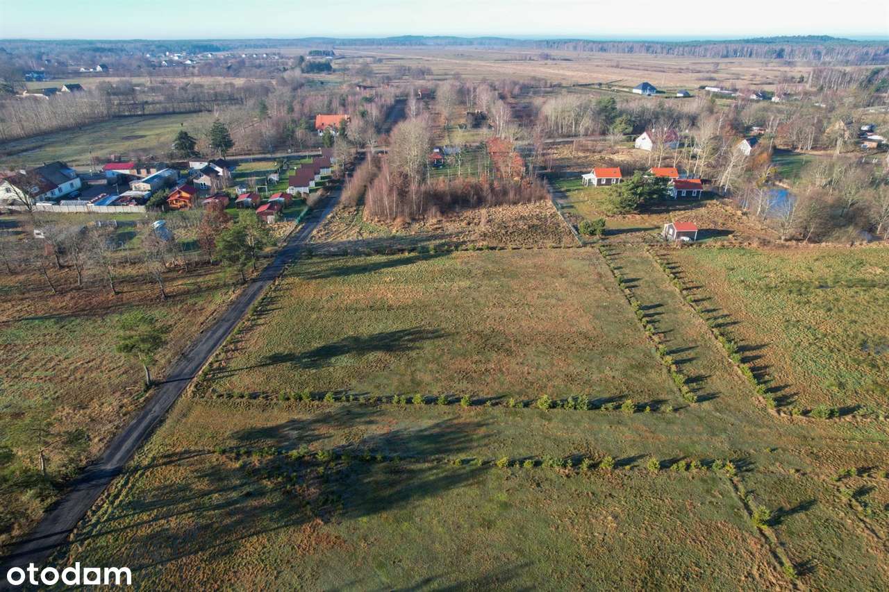 Smołdziński Las, działka - Pełny obrazek: 4/6