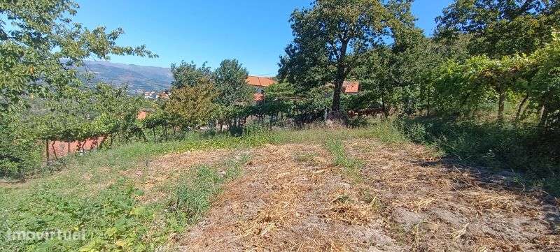 Terreno para venda - Grande imagem: 5/6