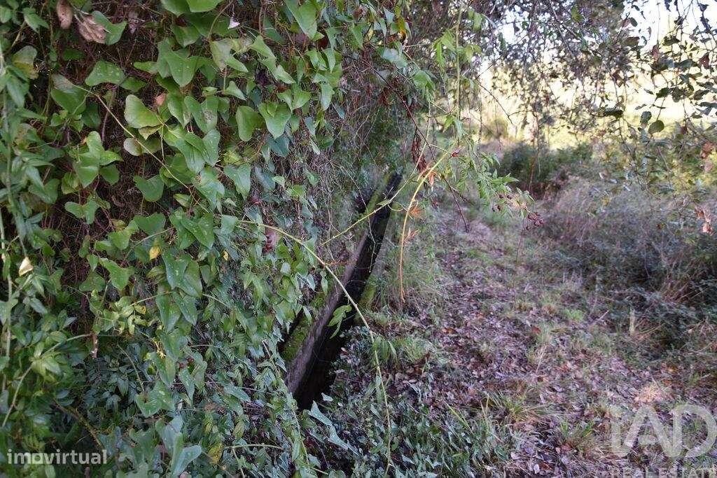 Terreno Agrícola em Freixianda, Ribeira do Fárrio e Formigais - Grande imagem: 4/40