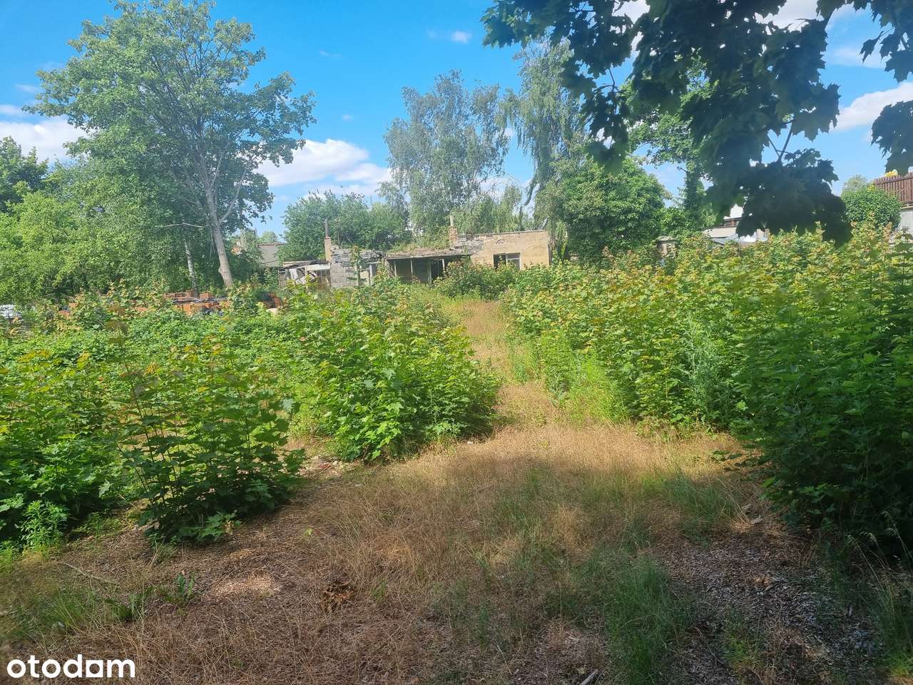 Przeźmierowo ul. Lipcowa Działka bud. 1200m2-0