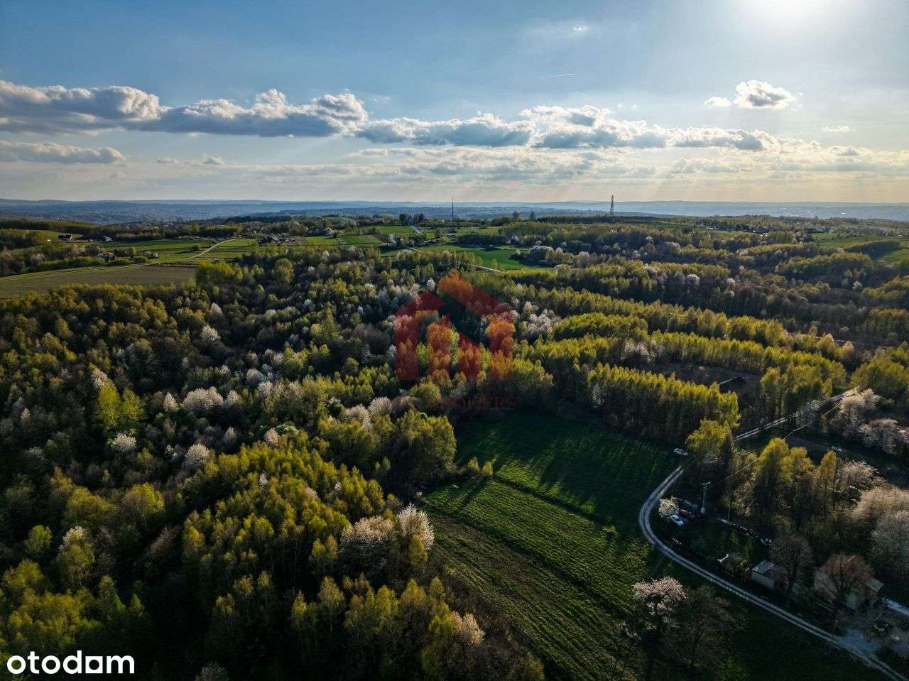 3,33 ha z lasem i strumykiem - teren pod zabudowę