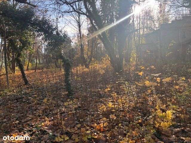 Dom przedwojenny w Puszczykowie-5