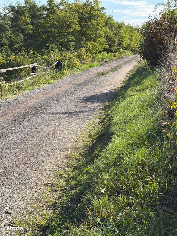 Vand teren Pentru Investitit Hemeiusi - Sat Fantanele - Imagine principală: 3/15