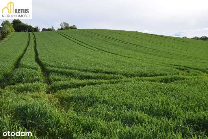 Nieruchomość 1,32 ha Stręgoborzyce-7