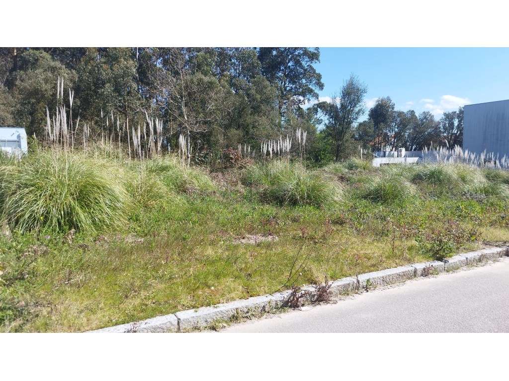 Lote Terreno Moradia 3 Frentes - Grande imagem: 5/7