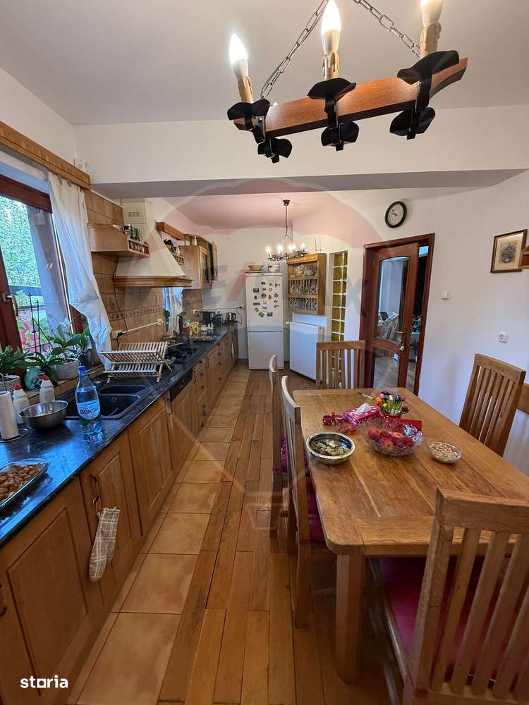 Vila de inchiriat pe strada Victoriei-PRETABILA PENTRU CASA DE BATRANI - Imagine principală: 2/20