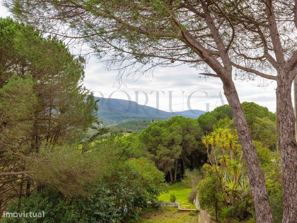 Quinta do Levante: Refúgio de Luxo com Projeto Aprovado no Coração ...-11