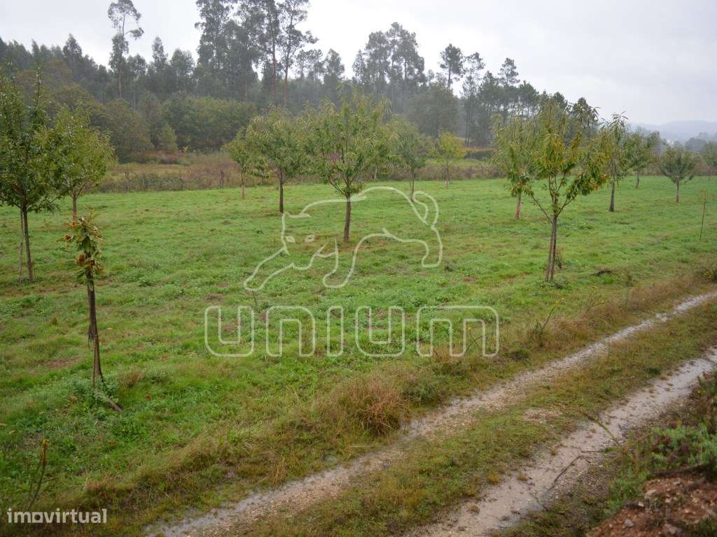 Terreno em Freixo - Grande imagem: 2/6