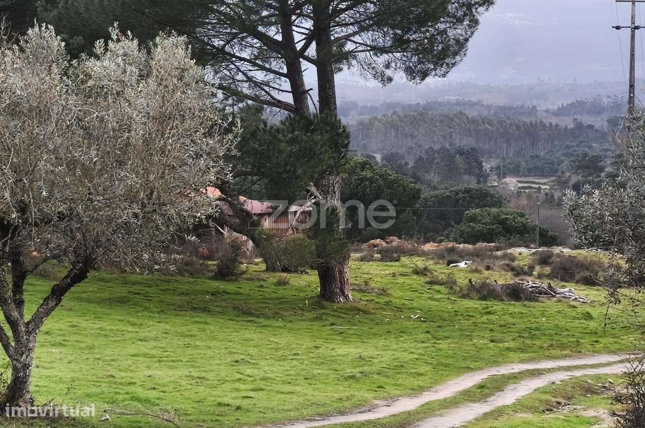 Moradia T3|Quinta com 15 hectares | Serra da Estrela | Garagem |-34
