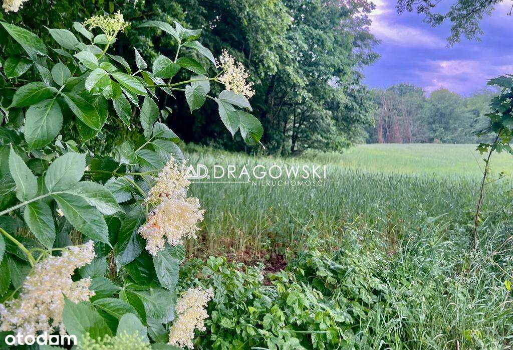 Warmia atrakcyjna działka budowlana z "WZ" + media-3