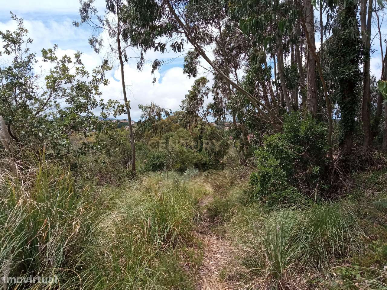 Venda conjunta de dois terrenos rústicos - Mira-Sintra, Meleças - Grande imagem: 5/13