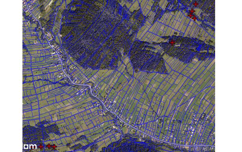 Lipnica Wielka - działki  leśne-2