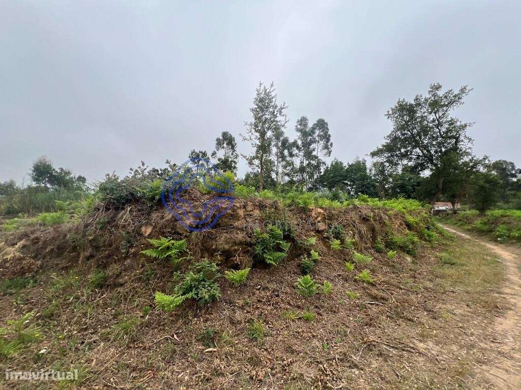 Terreno Rústico para Construção - Grande imagem: 4/18