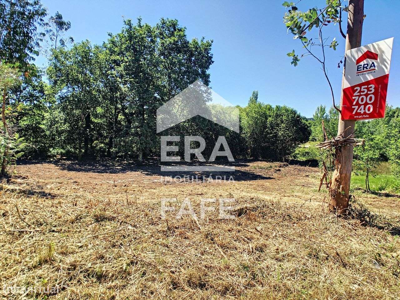 Terreno na Zona Industrial do Socorro em Fafe - Grande imagem: 4/14