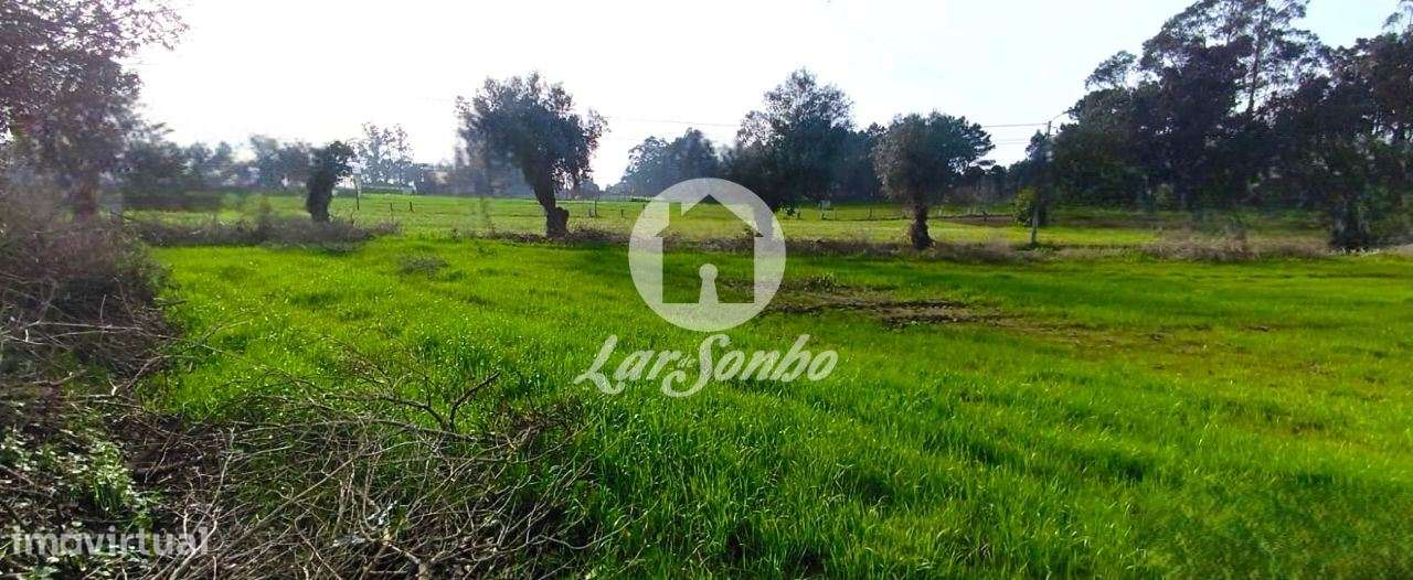 Excelente terreno em Esposende para Construção de Moradias - Grande imagem: 4/20