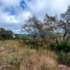 ANG1223 - Terreno para Venda em Alqueidão da Serra, Porto de Mós - Grande imagem: 3/5