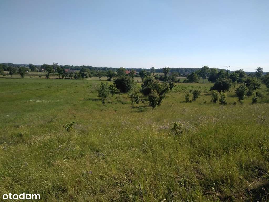 TANIA Dz. bud., Łęgowo, woj. Lubuskie, 36972zł-1